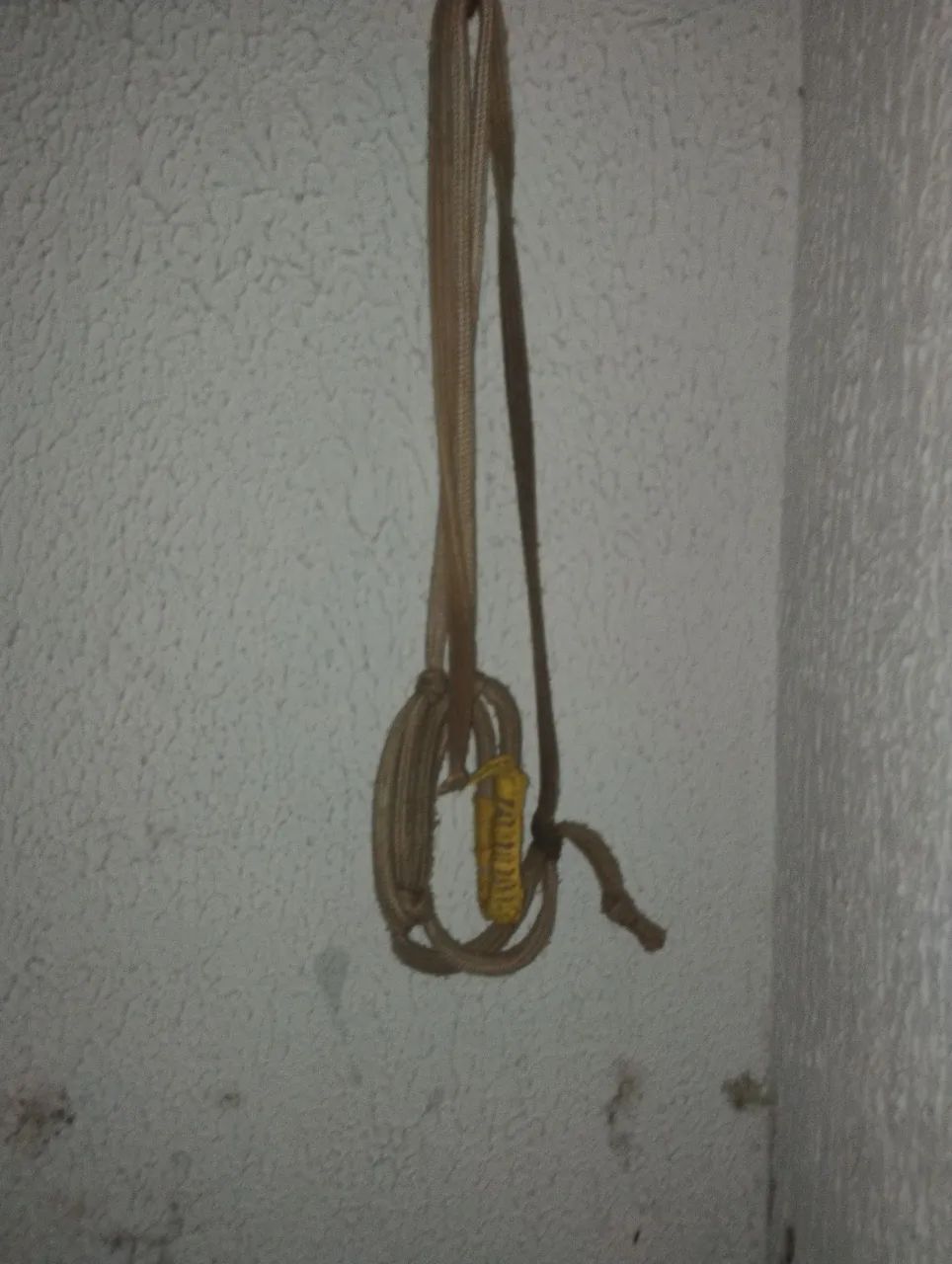 Cabresto para cavalo