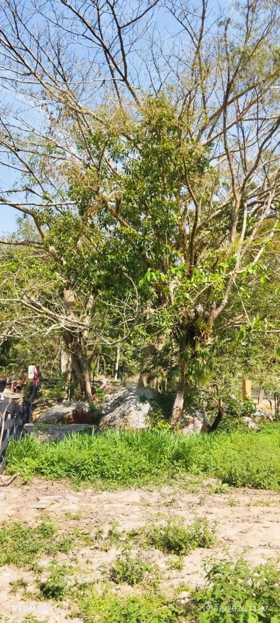TERRENO a VENDA em CANELINHA SC  - Foto 4