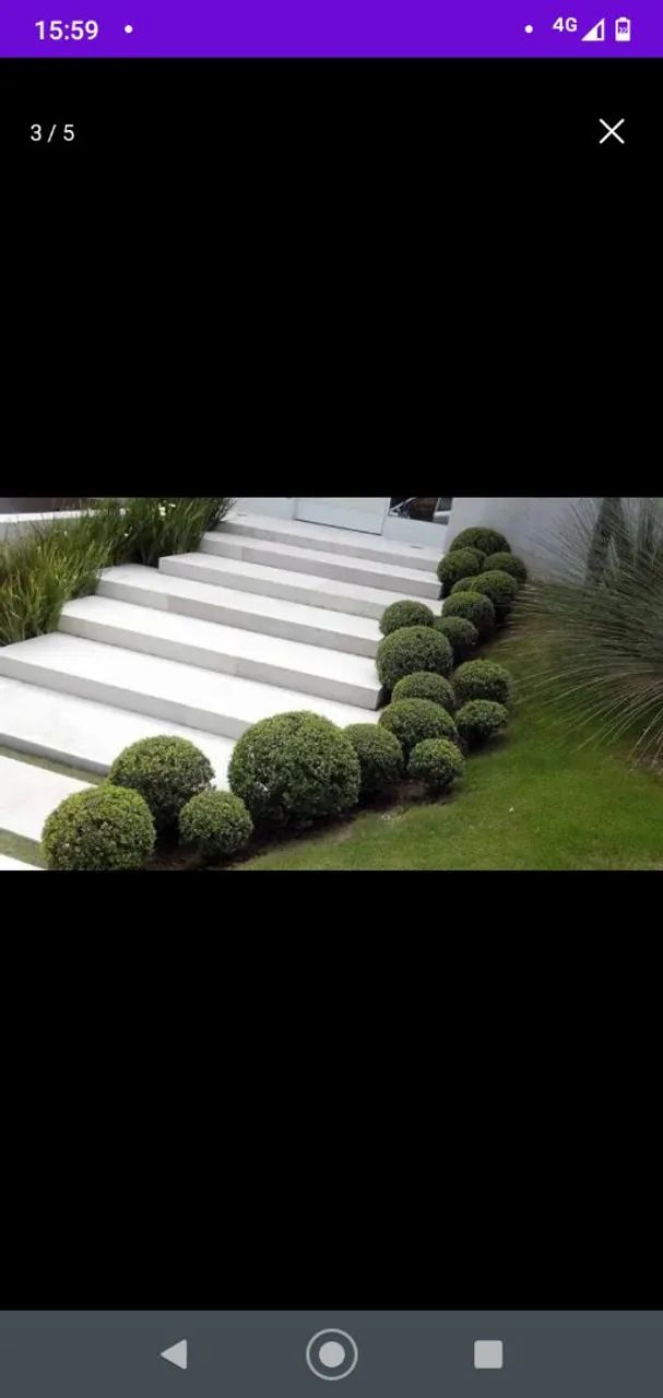 Jardineiro  - Foto 3