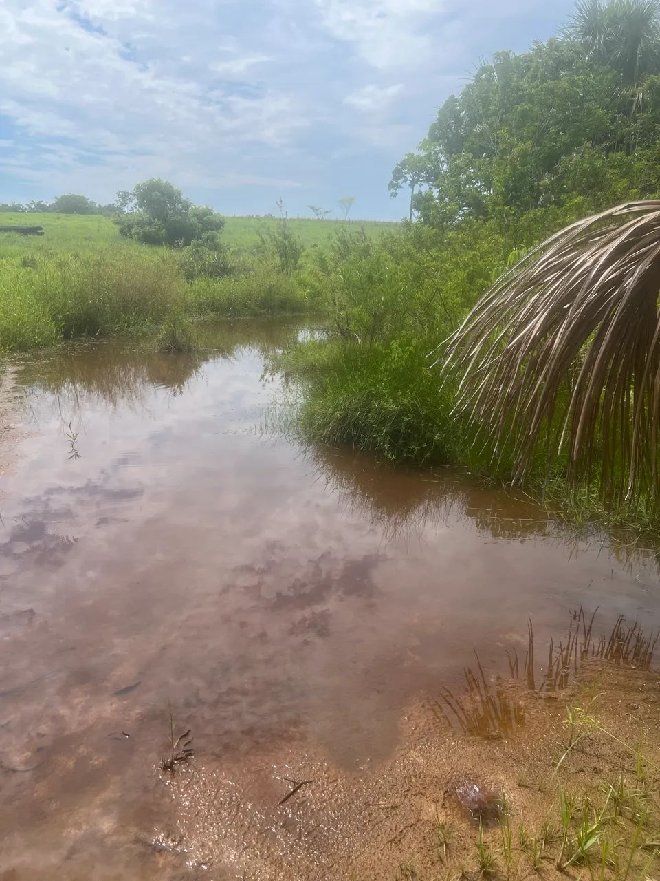 20 Alqueires A VENDA em Cacoal RO - Foto 7