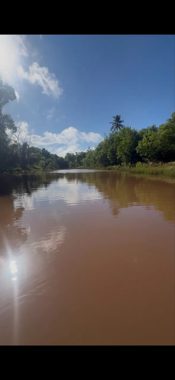 Foto - São Mateus - Aroeira