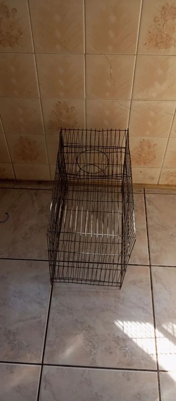 Gaiola - Foto 5