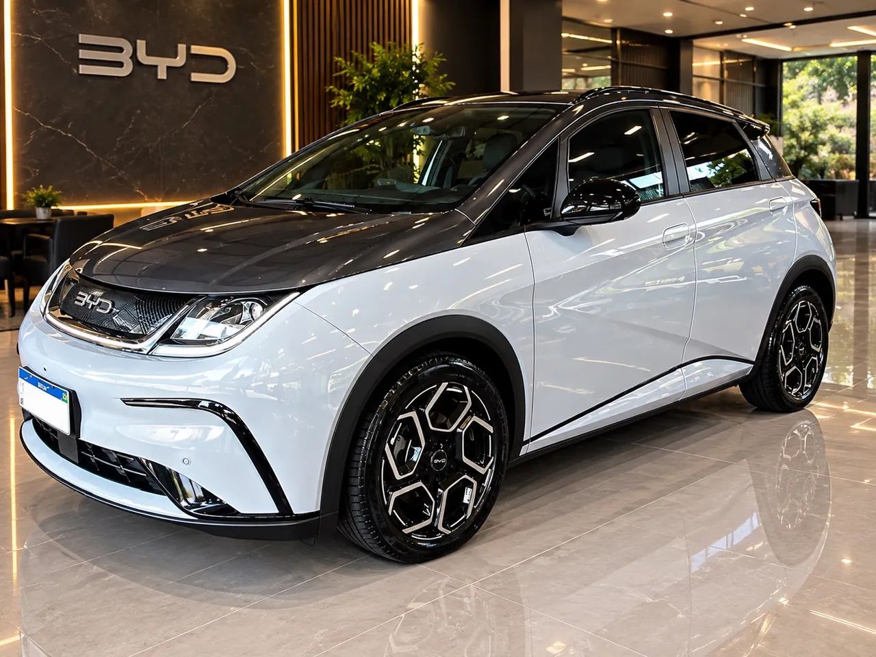 BYD Dolphin Plus (Elétrico) 2024 - Foto 5