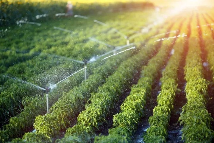 Instalação de Sistema para Irrigação Programavel Automático  - Foto 4