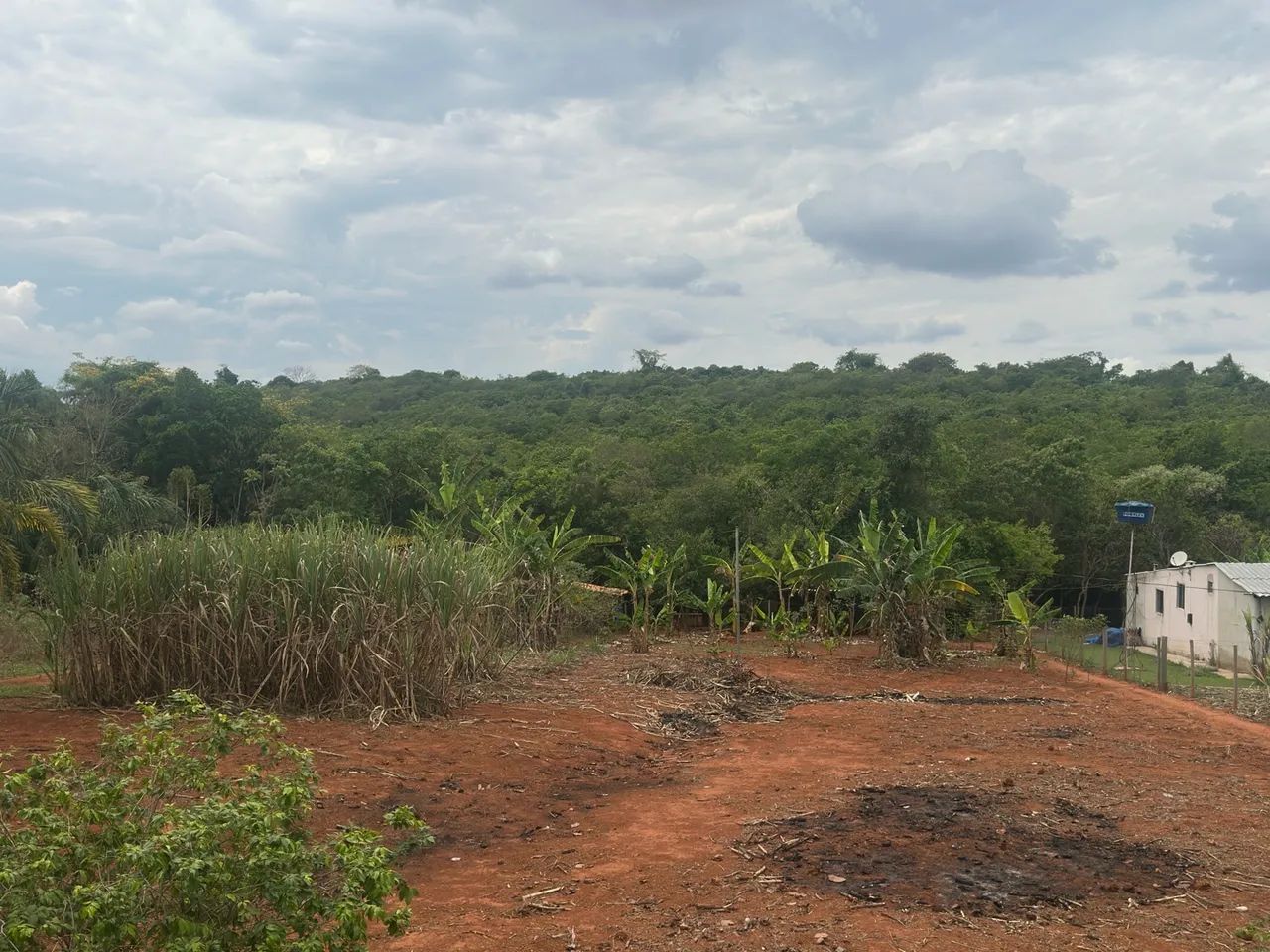 Chácara gameleira de Goiás  - Foto 5