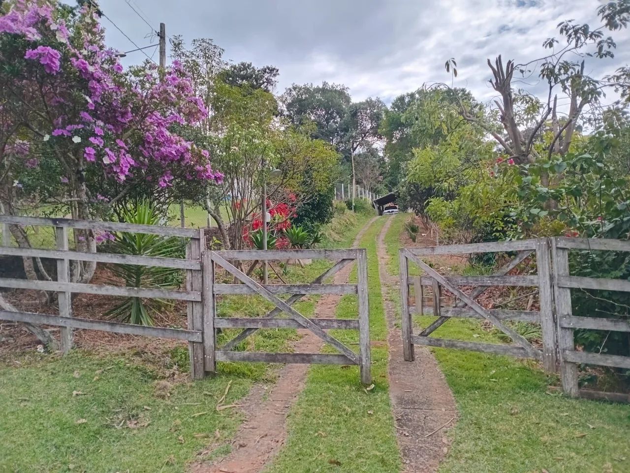 Foto - São Paulo - Vila Paranaguá