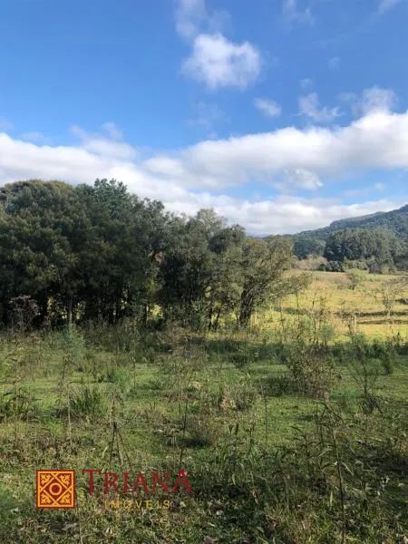 TERRENO PRÓXIMO AO CENTRO DE RIO RUFINO - Foto 4