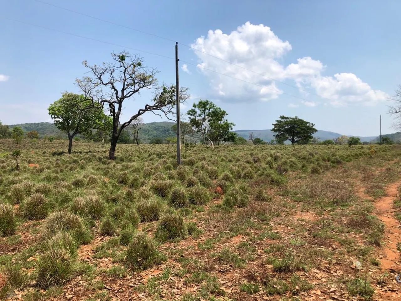 Fazenda em Campinorte-GO. 82 Alqueires - Foto 3