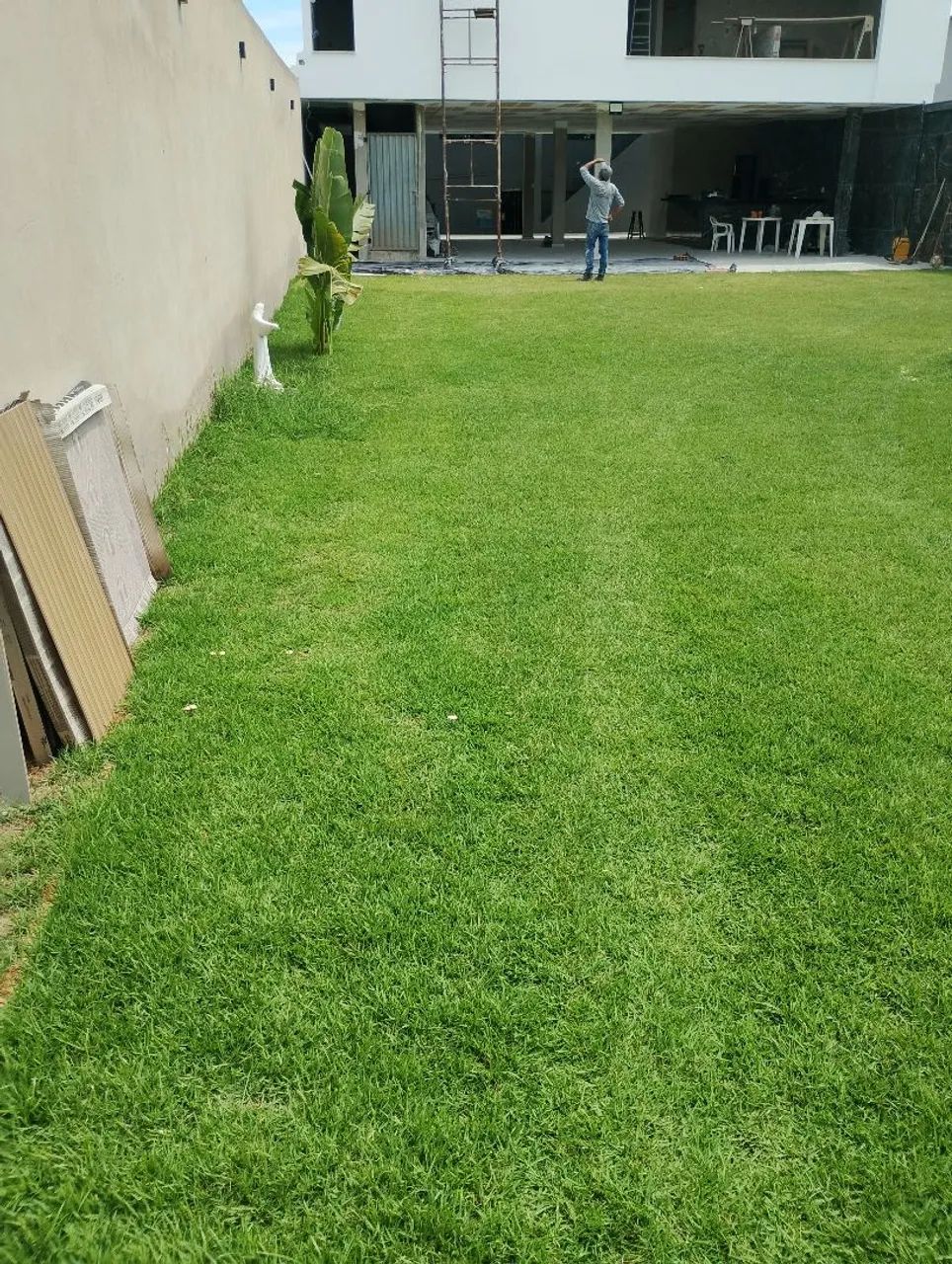 Jardinagem  - Foto 2