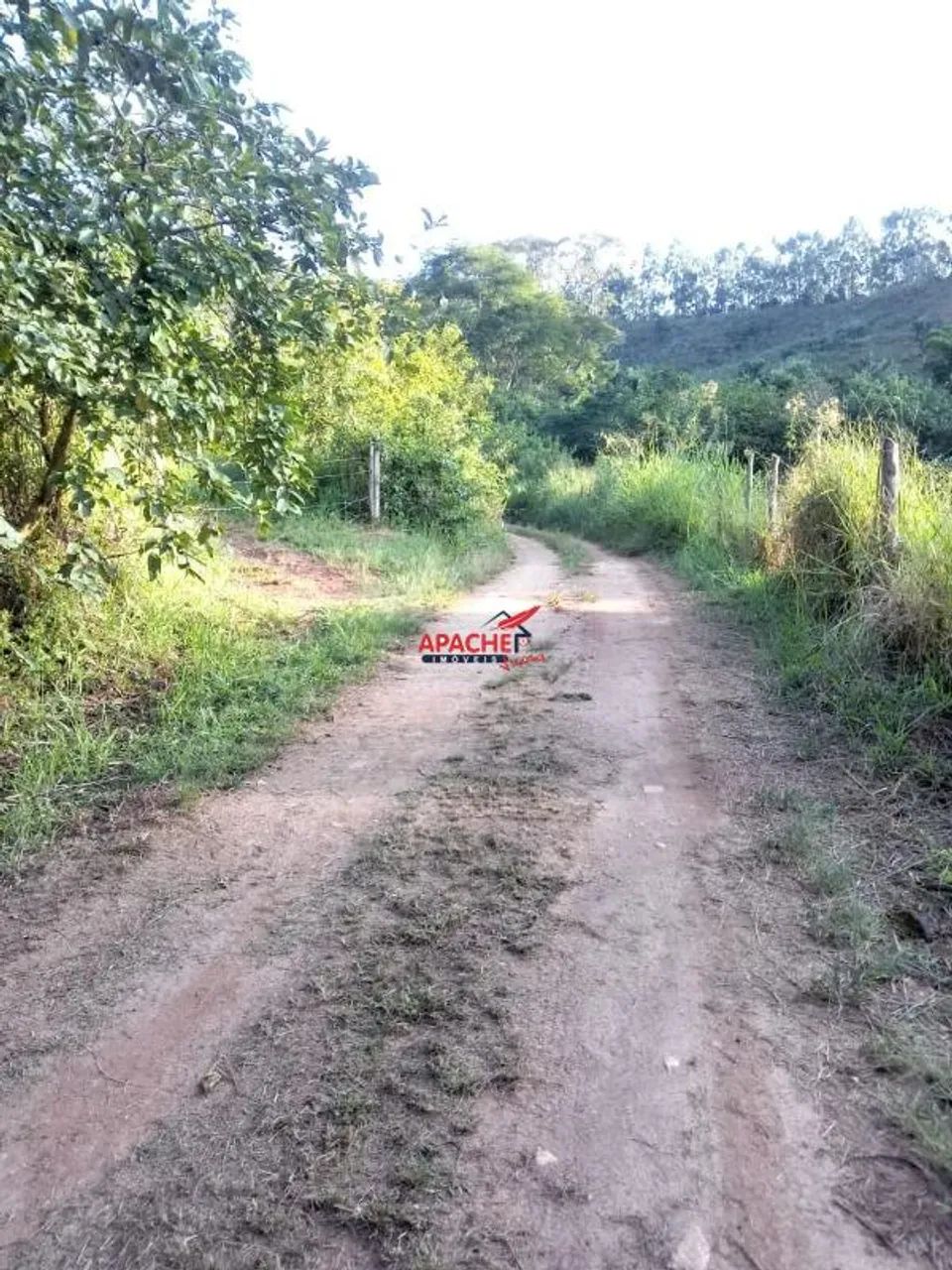 Chácara, no Sítio Boa Vista, em Viçosa - MG. - Foto 5