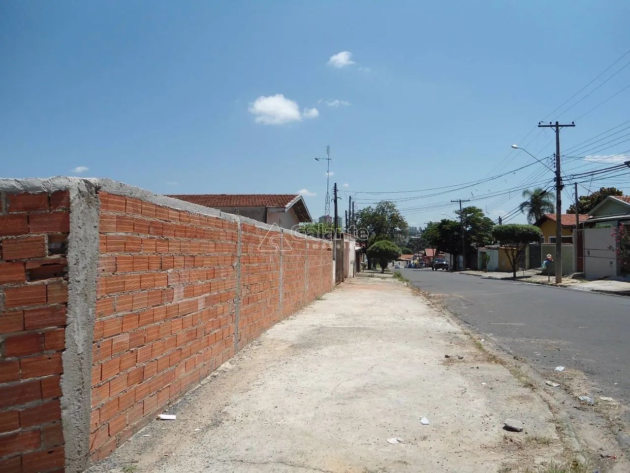 terreno - Jardim Paulicéia - Campinas - Foto 4