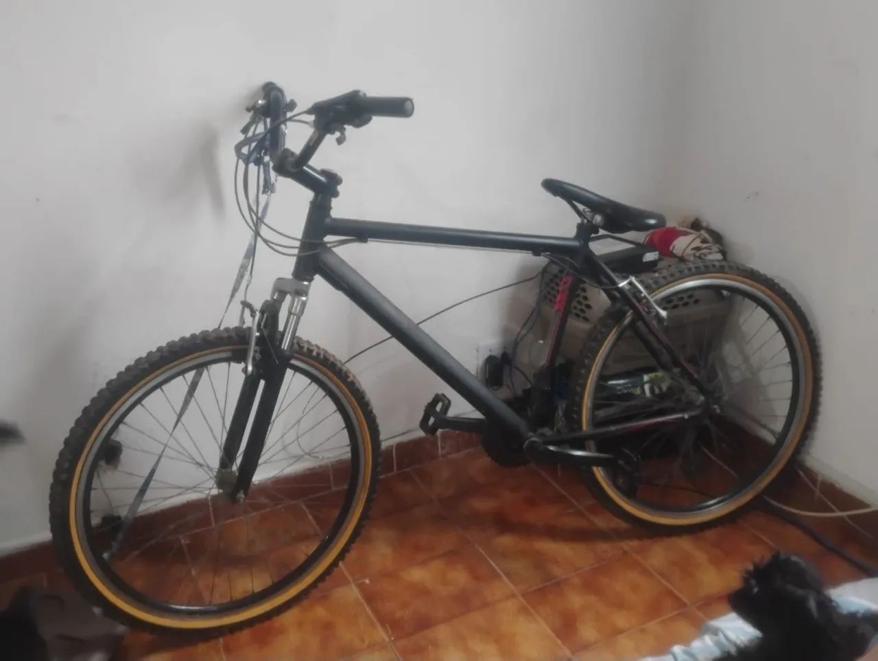 Bicicleta 