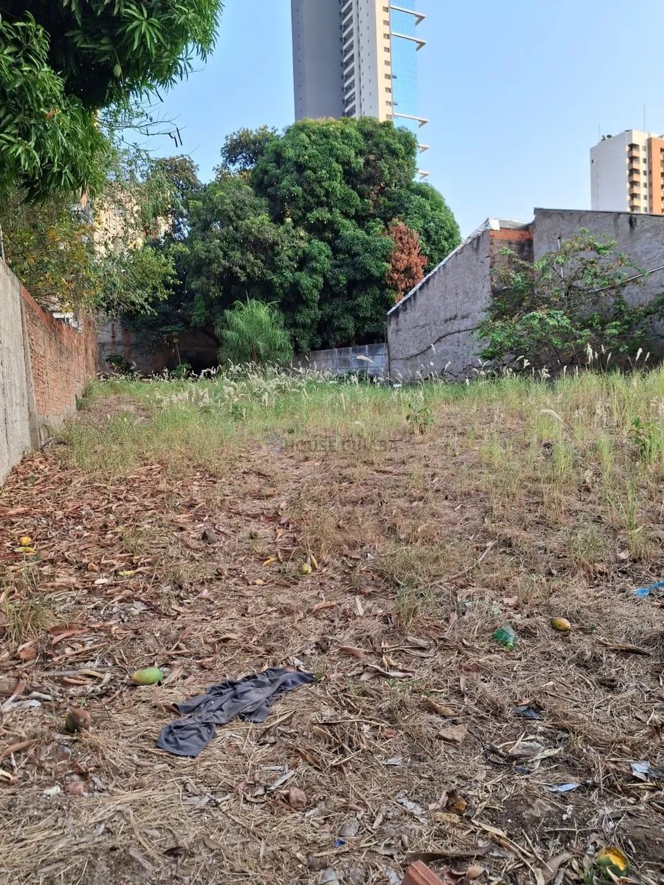 Excelente terreno, na região mais charmosa de Cuiabá - Foto 4