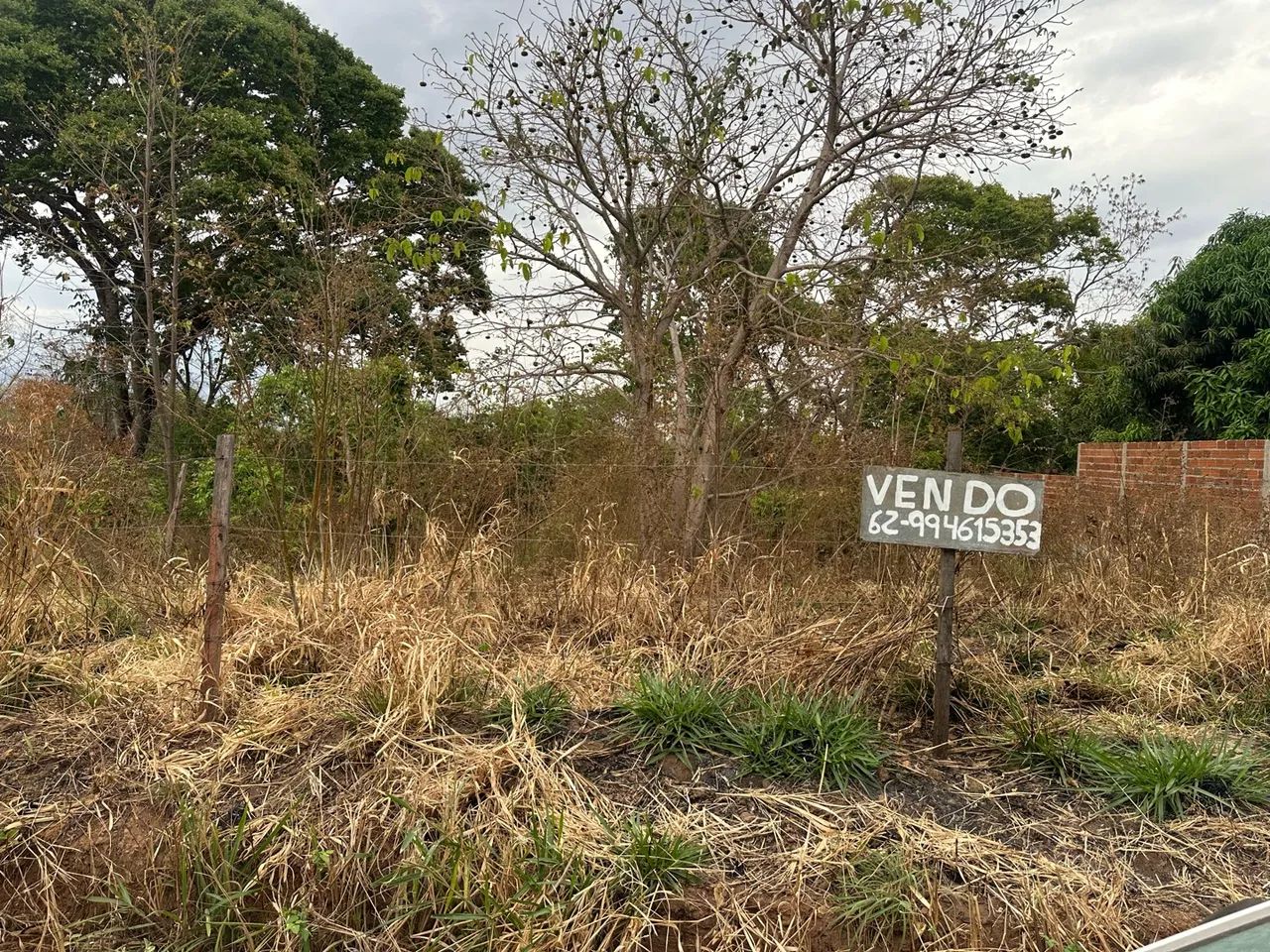 Lote - Foto 4