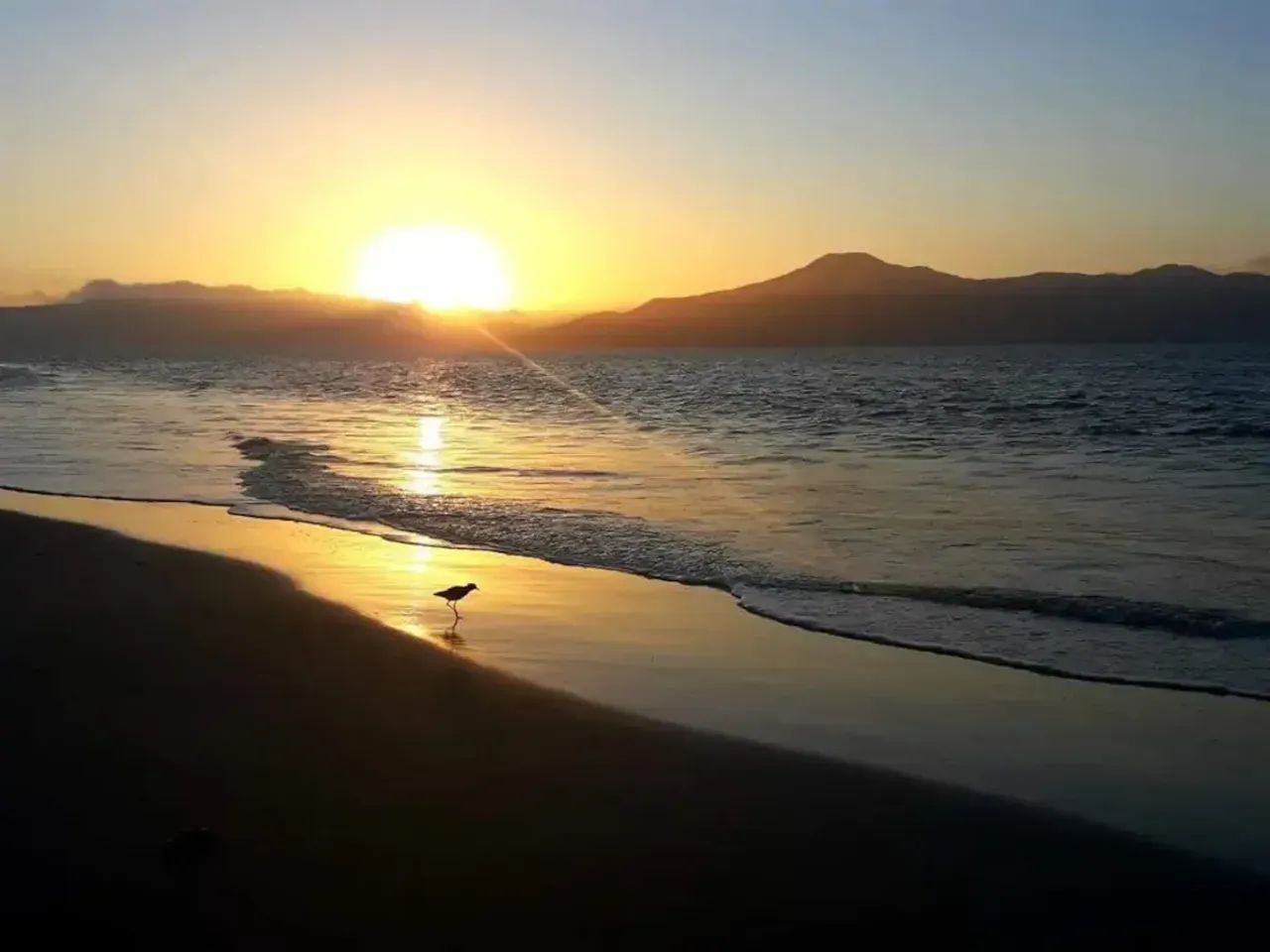 Casa com 495m², 4 dormitórios, 2 suítes, na Daniela em Florianópolis - Foto 5