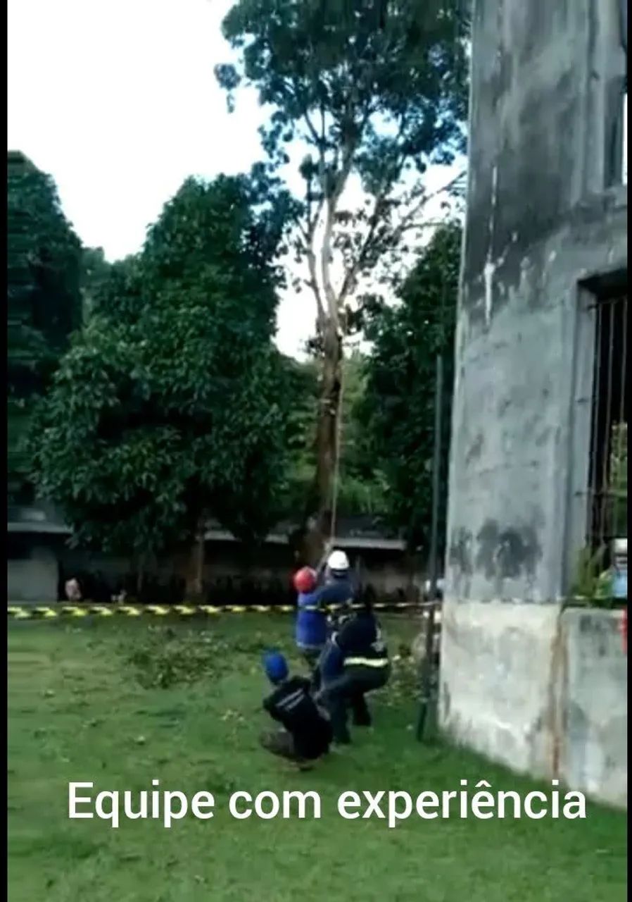 CORTE, PODA, RETIRADA DE ÁRVORES  - Foto 4