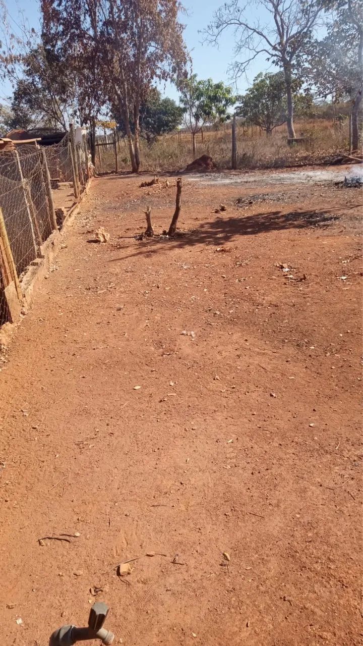 VENDO CHÁCARA EM GLAUCILÂNDIA  - Foto 5