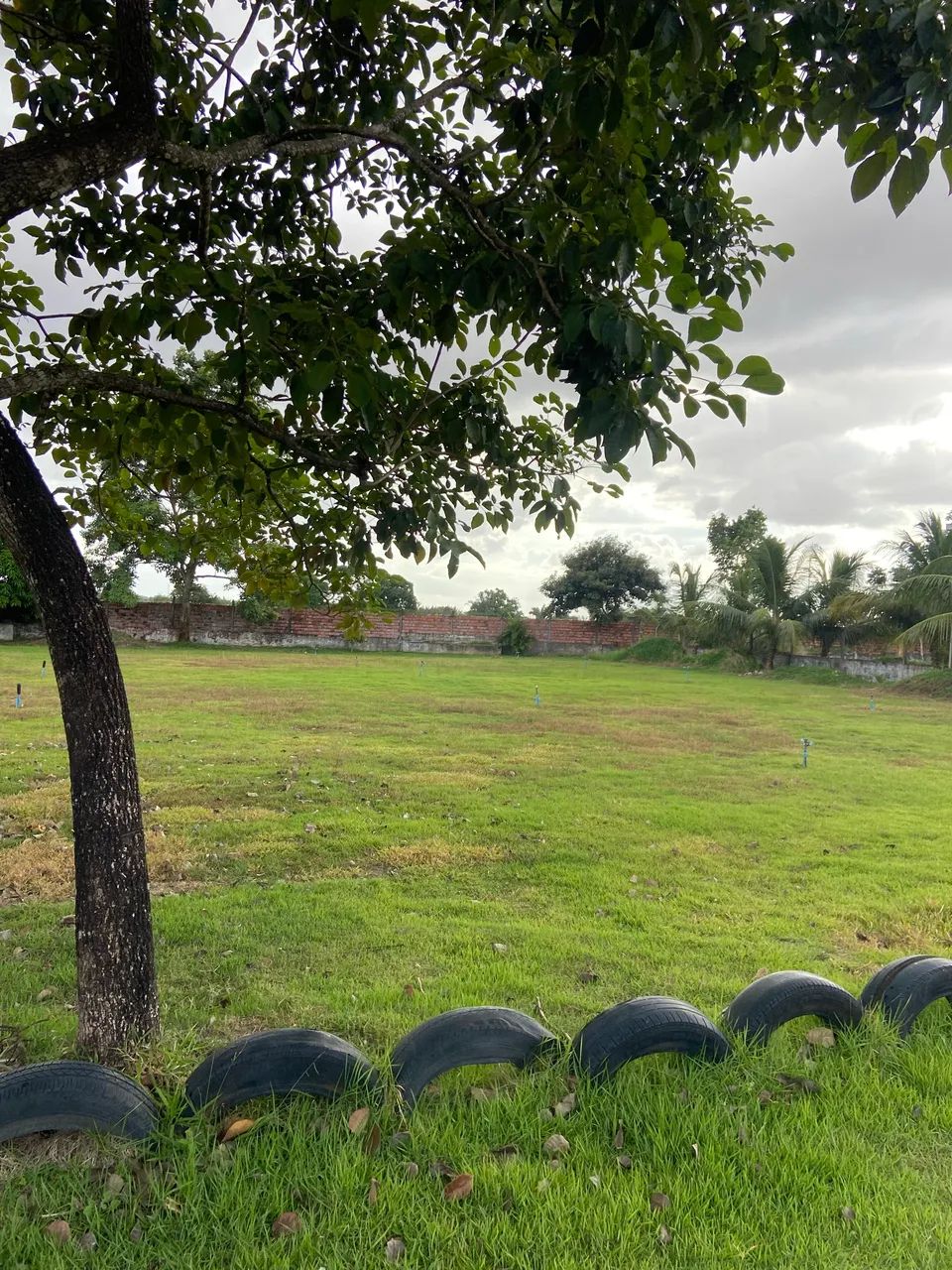 TERRENO 22 X 55 M - Foto 3