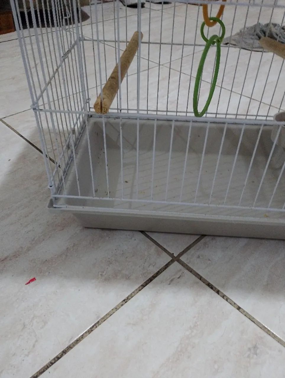 Gaiola calopsita  - Foto 3