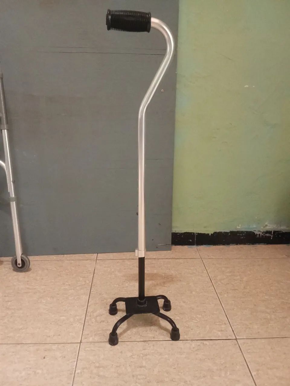 Vendo bengala 