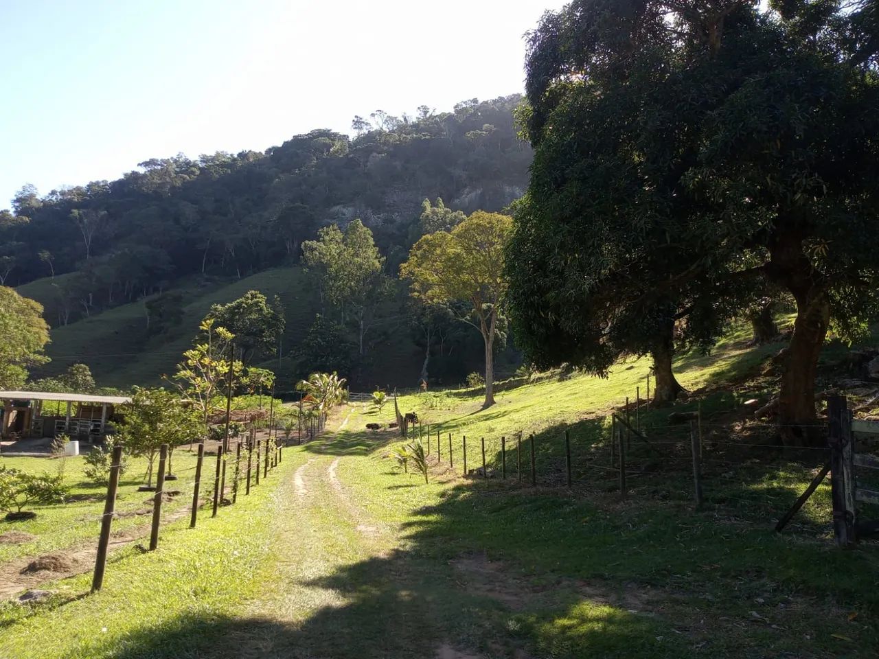 VENDO SÍTIO em Rocha leão - Foto 4