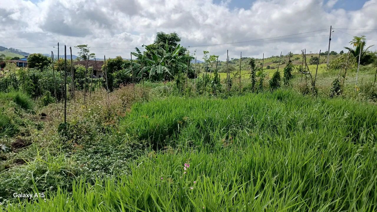 Vendo lote para Chácara R$65.000 - Foto 3