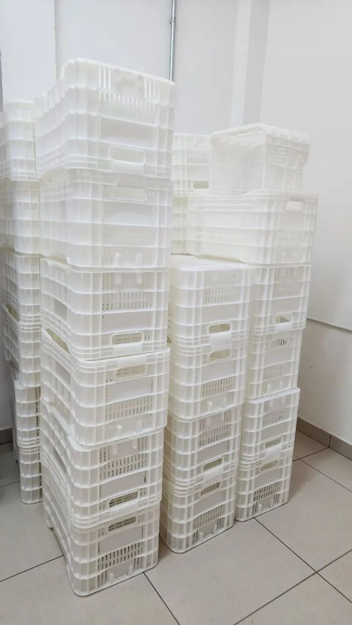 Kit 3 Caixas Agrícolas PEAD Virgem para congelamento e hortifruti - Foto 5