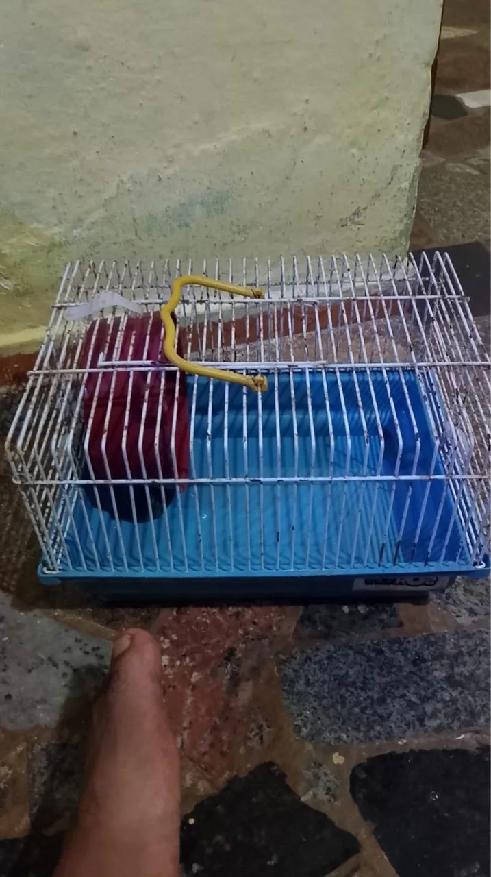Gaiolas de hamster - Foto 4