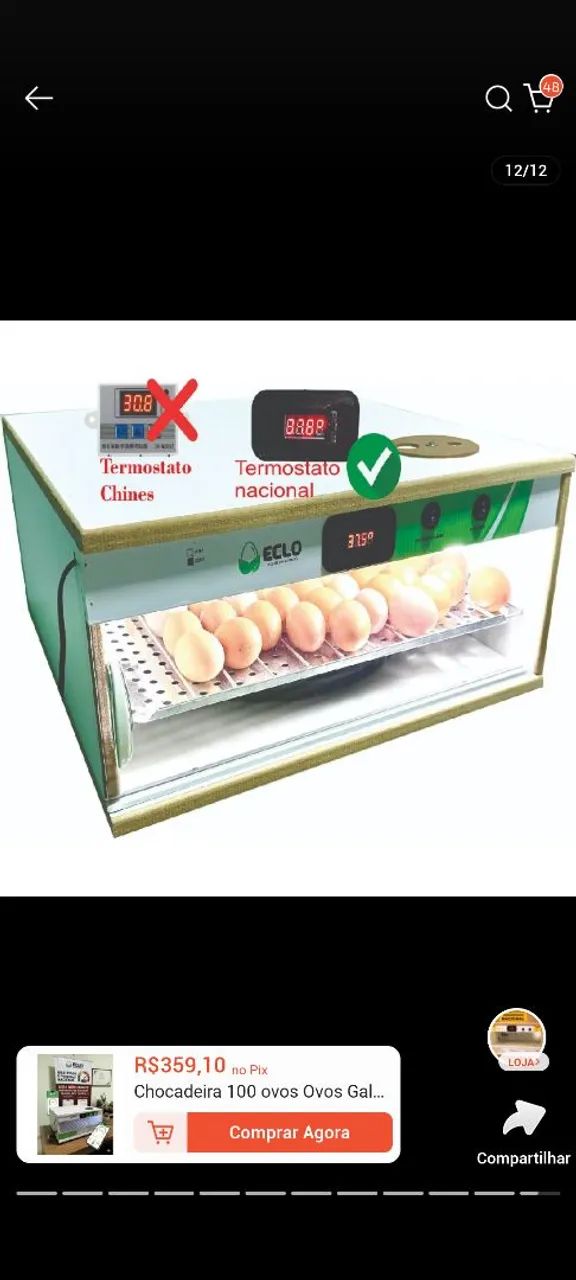 Eclo chocadeira para 100 ovos com giragem automático 