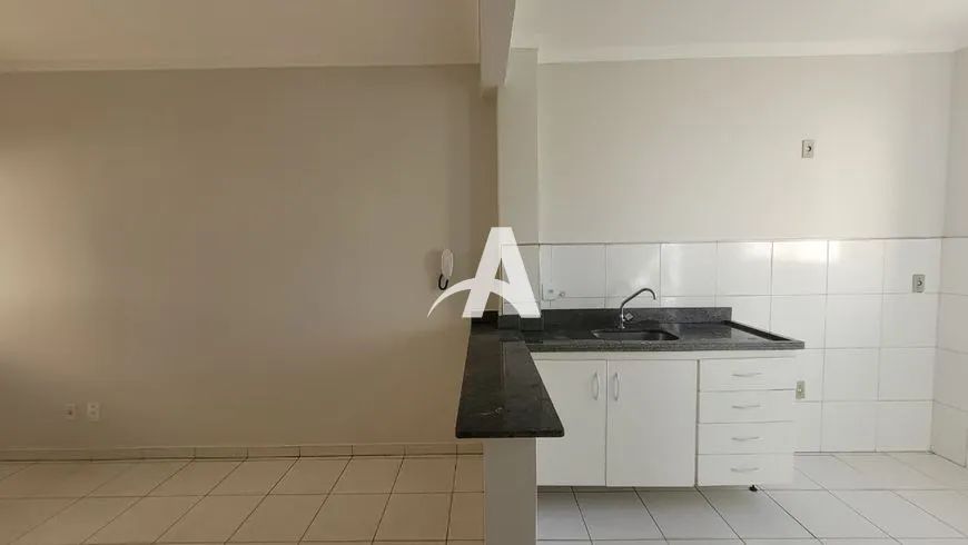 Aluguel Apartamento FINOTTI - Foto 3