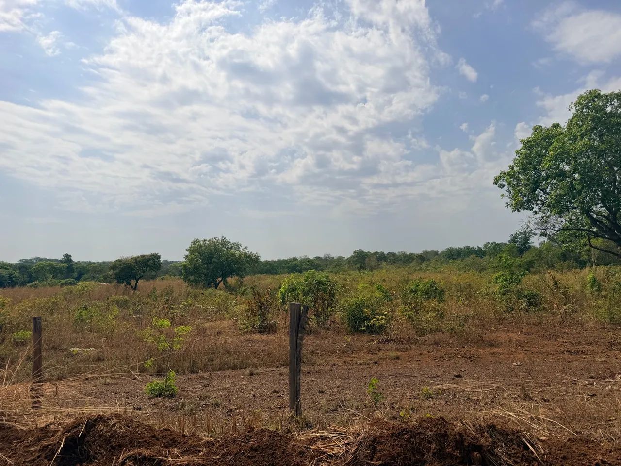 Chácara em Taquaruçu 3. Alqueres  - Foto 4