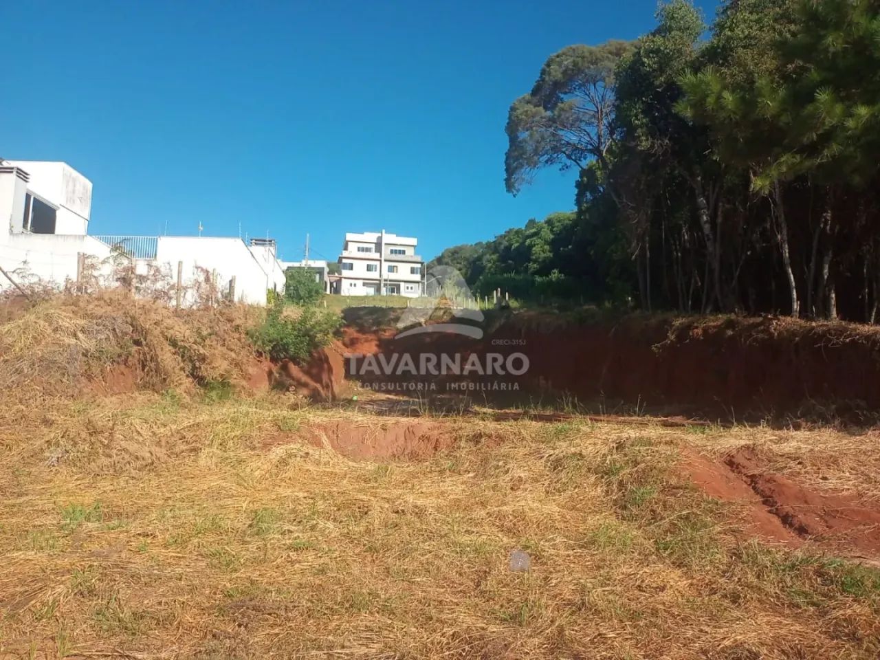 Terreno Padrão em Ponta Grossa - Foto 3