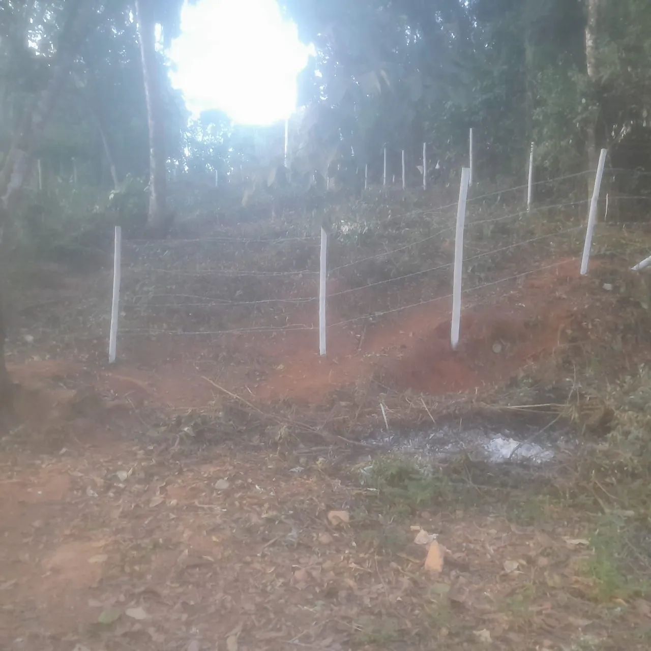 Lotes com escritura e registro 