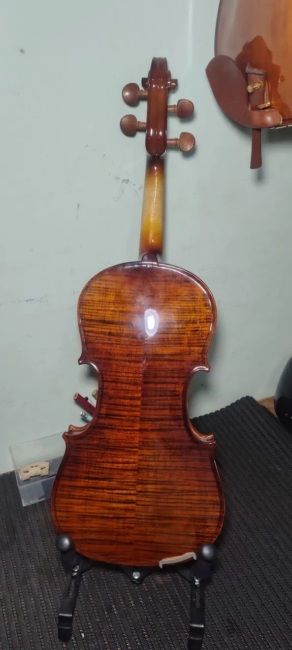 Violino  - Foto 2