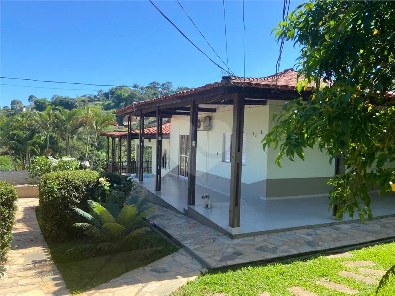 Chácara com 4 quartos à venda em Centro - SP - Foto 4