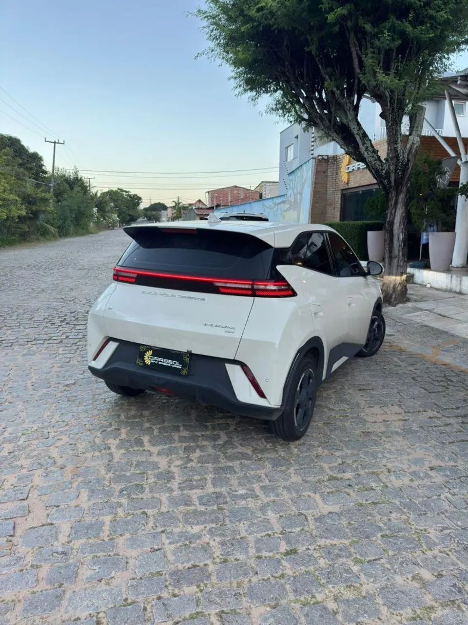 BYD Dolphin Mini (Elétrico) 2025 - Foto 4