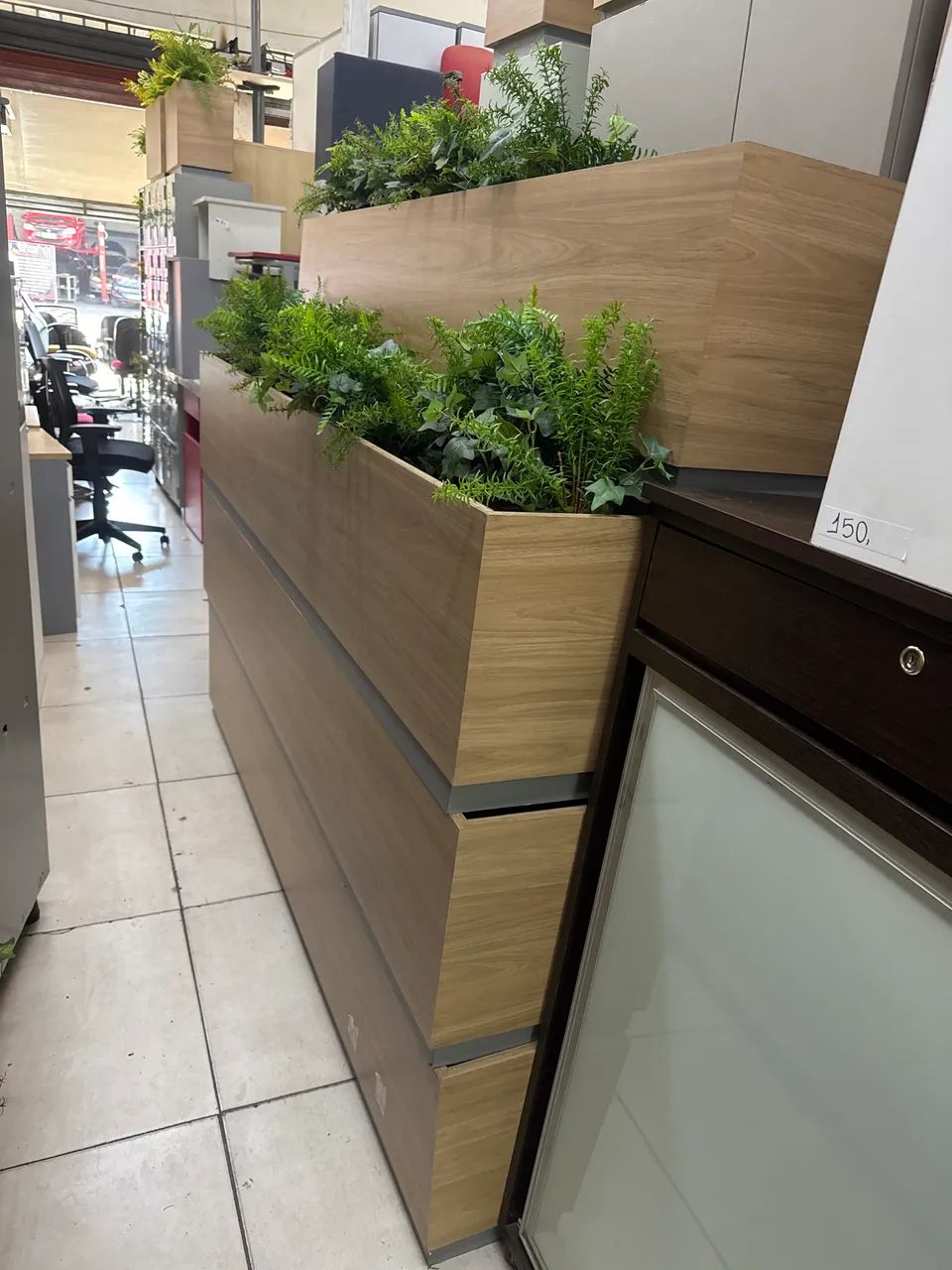 Vasos com plantas 