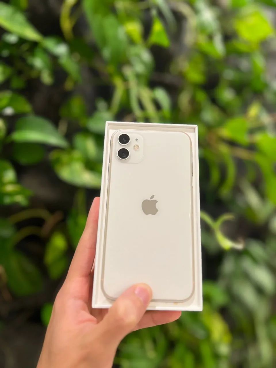 iPhone 11 128gb(branco)