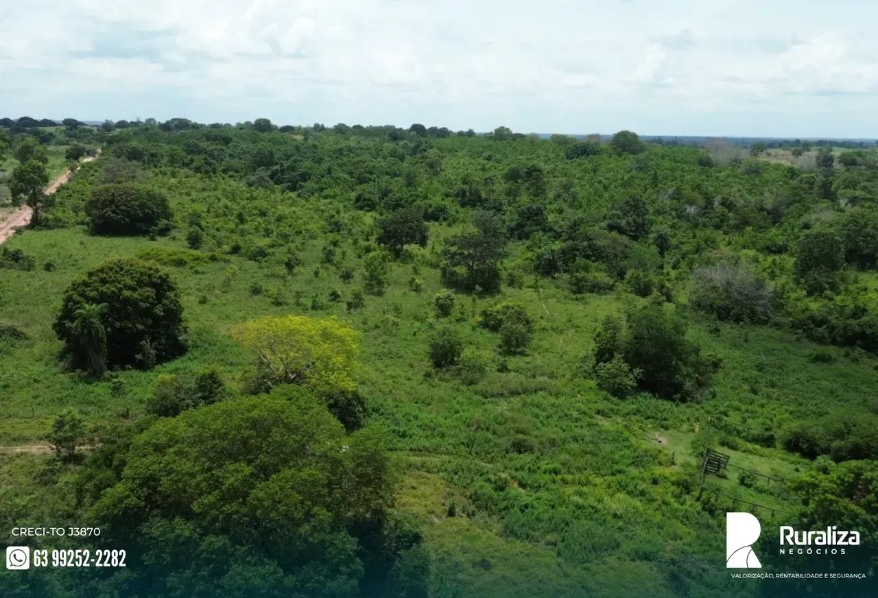 55 HECTARES COM CÓRREGO PERENE | DOCUMENTADA | OPORTUNIDADE - Foto 4