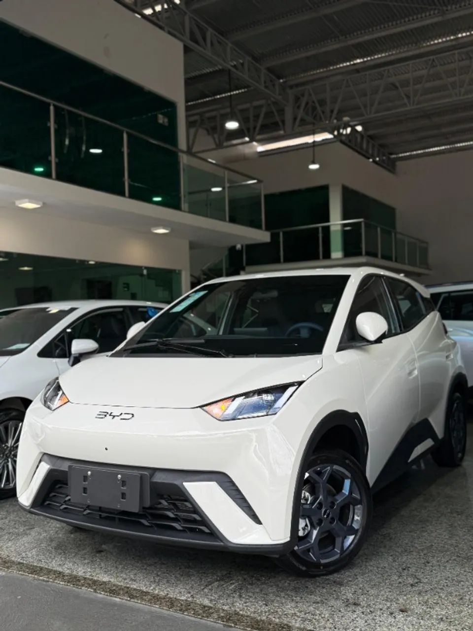 BYD Dolphin Mini (Elétrico) 2027