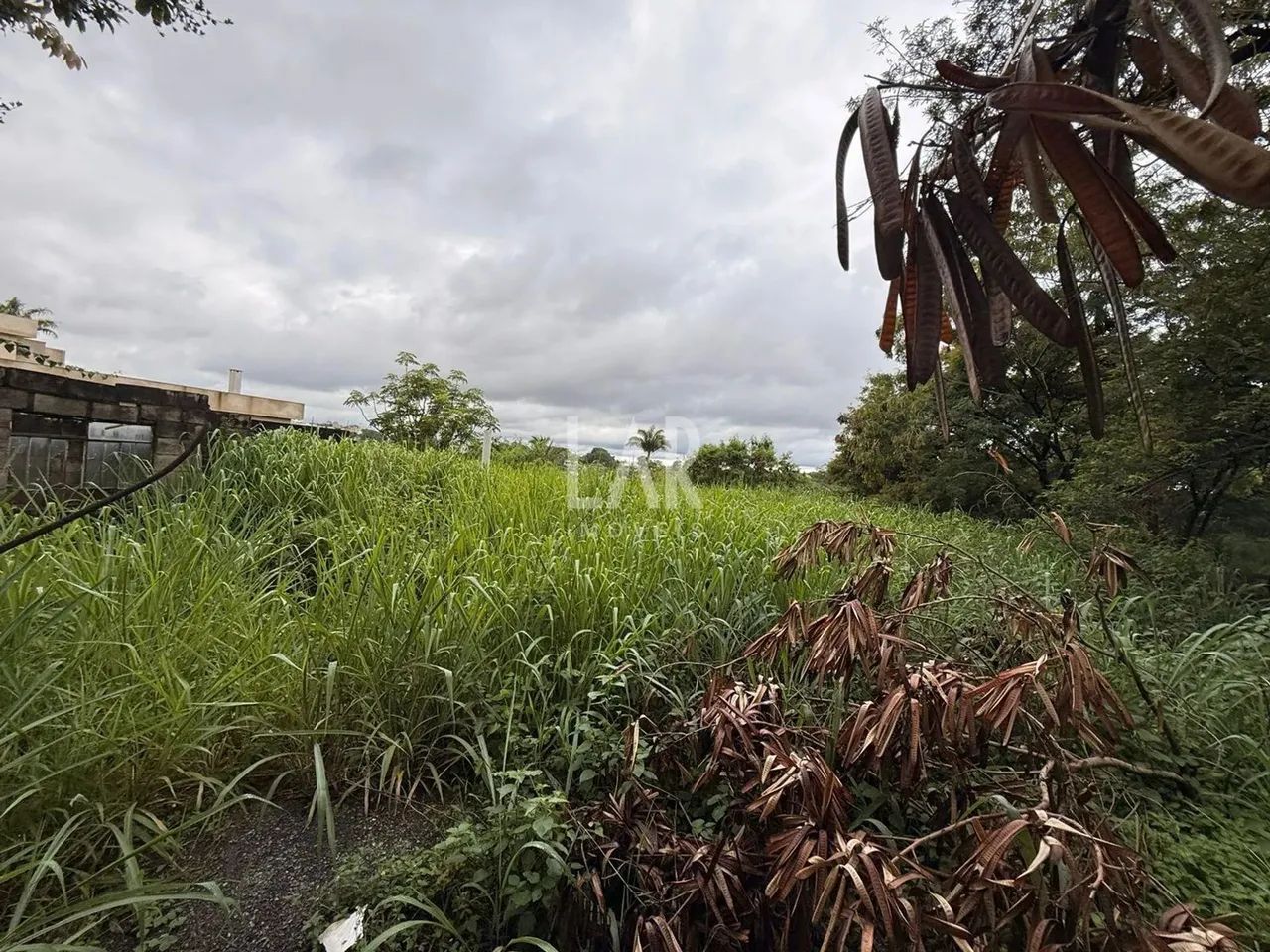Lote - Terreno à venda, Garças - Belo Horizonte/MG - Foto 4