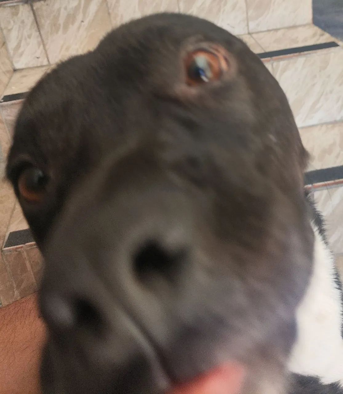 doação - Foto 5
