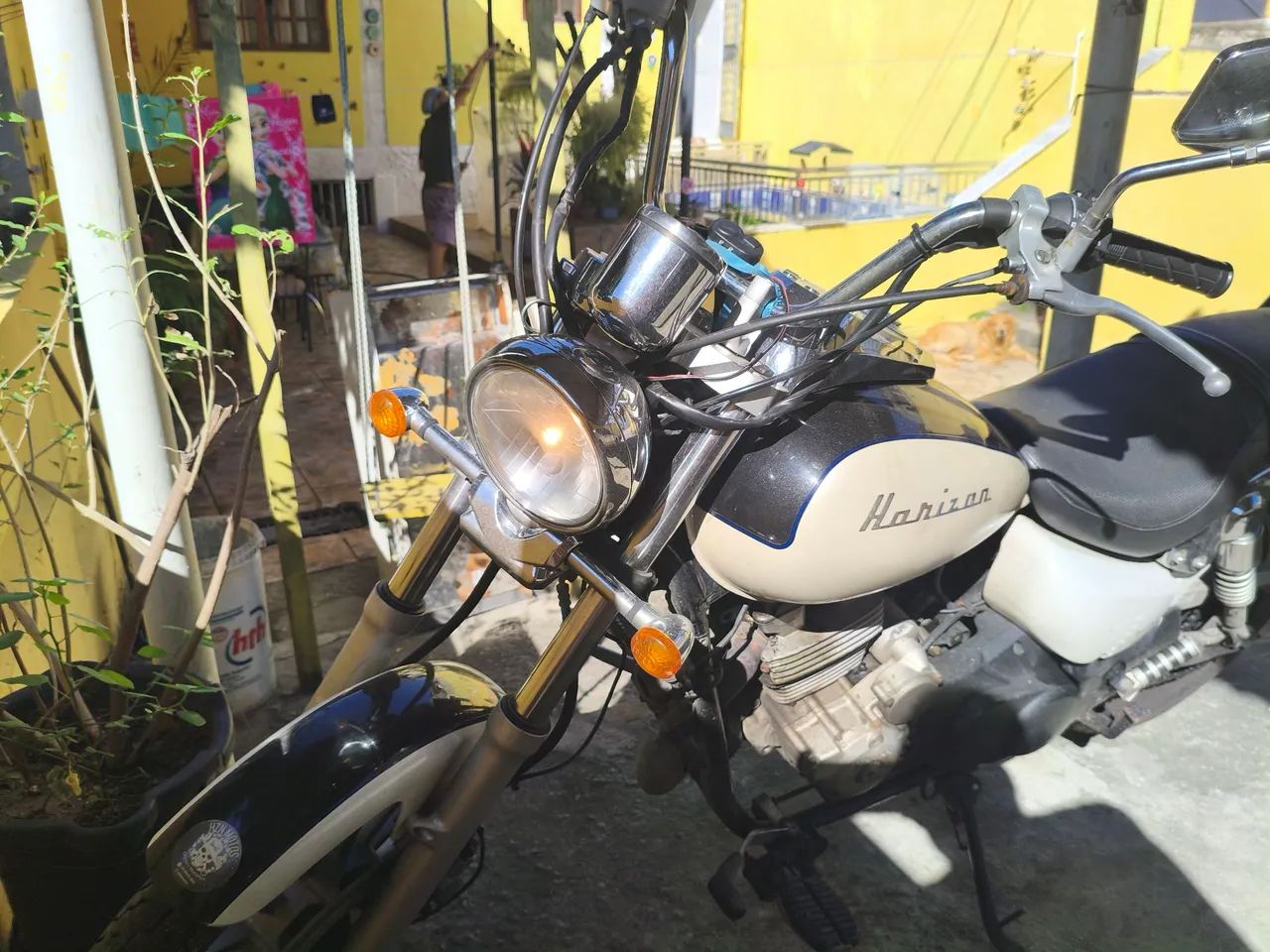 Horizon 250 - Foto 2