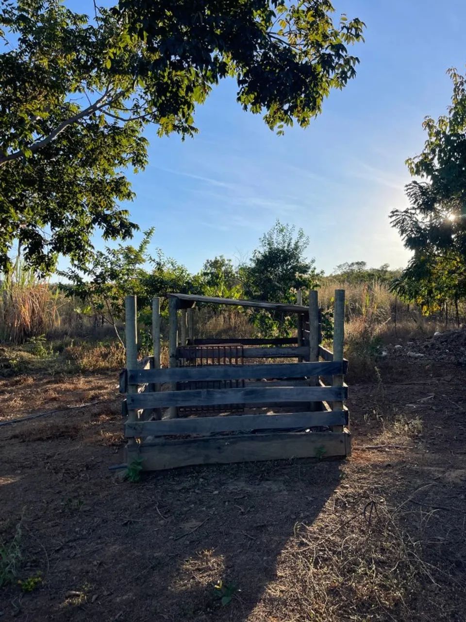 Sítio 30 Hectares Formado - Casa Ampla, Curral, Tanques de Peixe e Ótimo Acesso - Foto 14