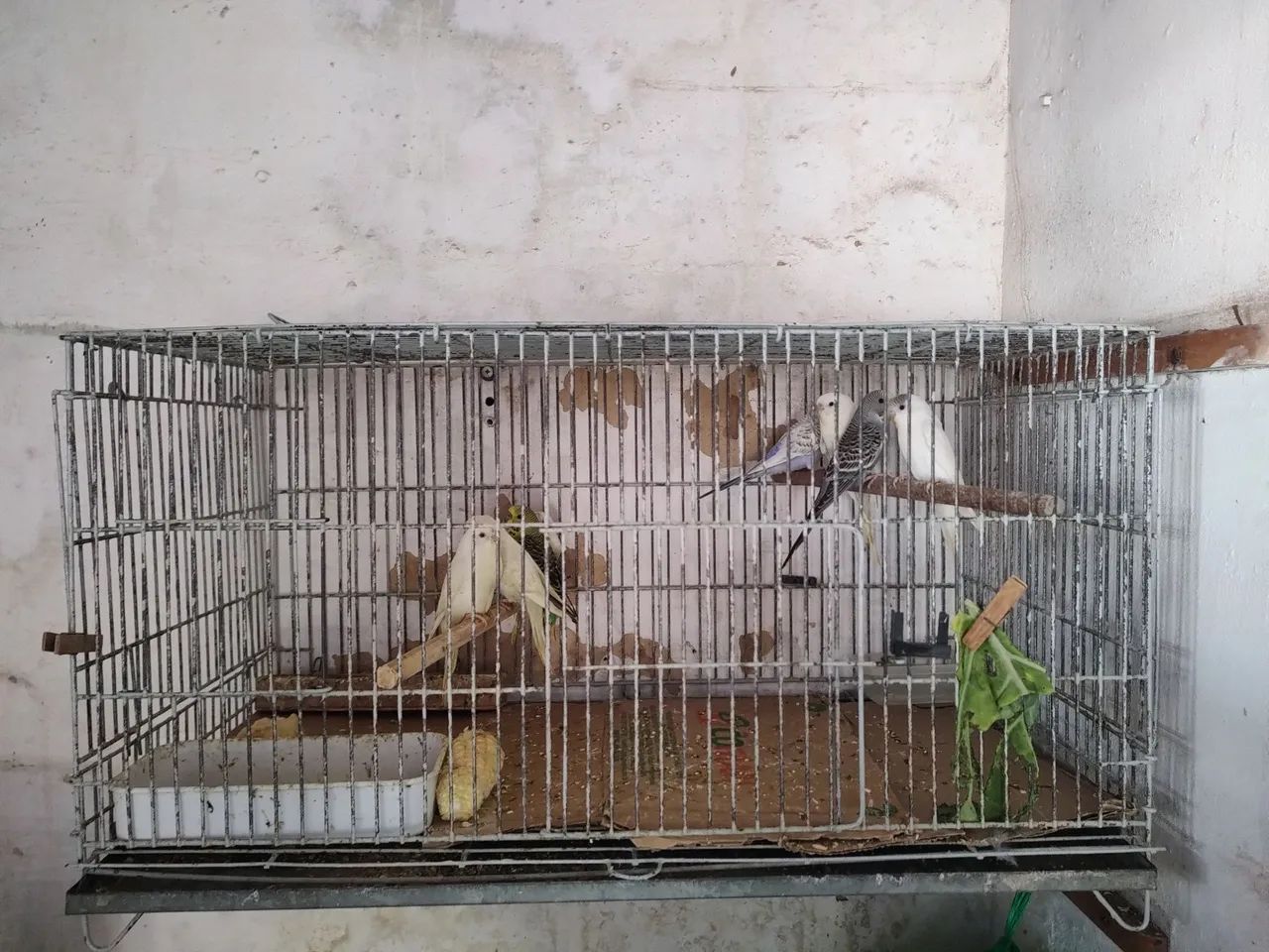 Vende-se - Foto 3