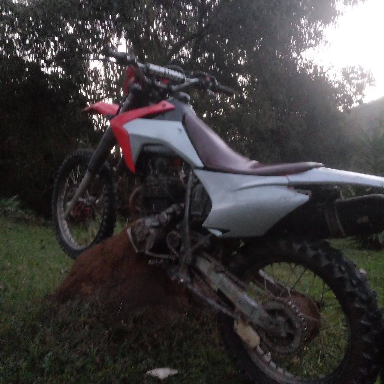 Trilha - Foto 2