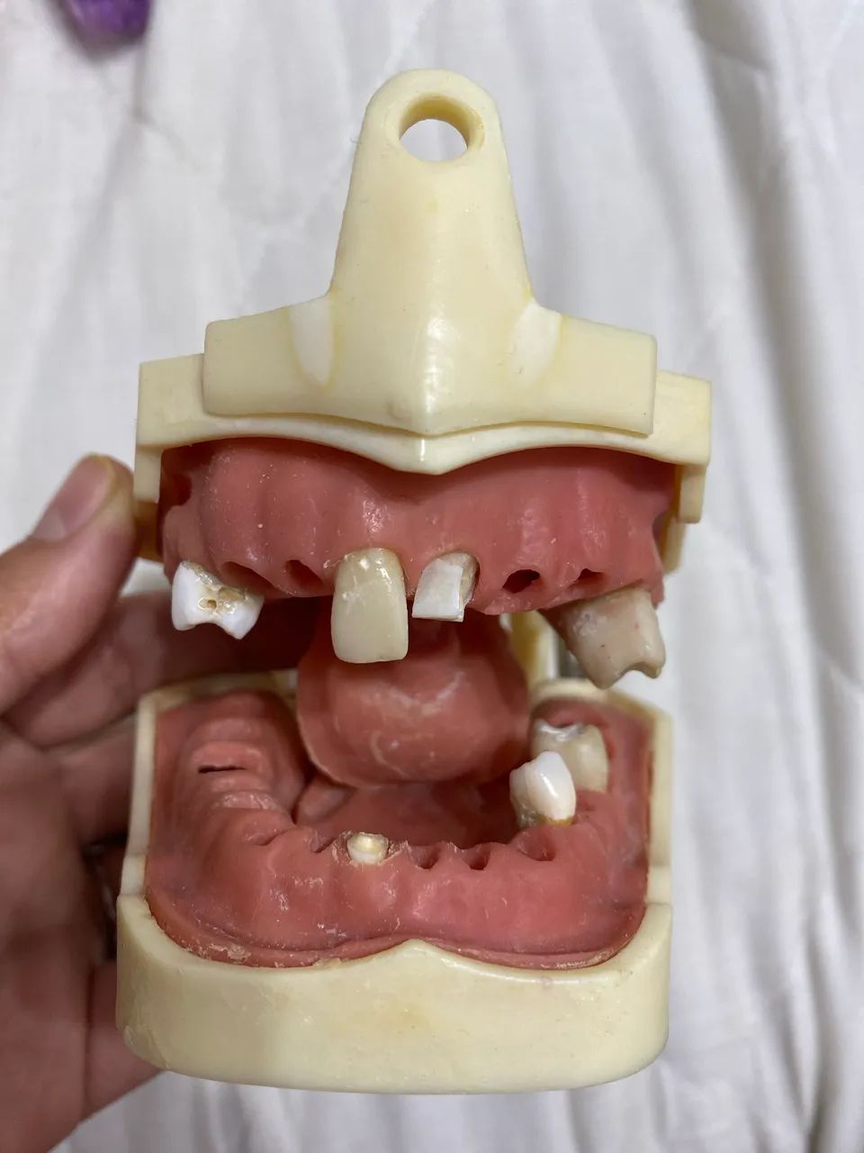 Manequim odontológico para endo (usado) Dent Art  - Foto 5