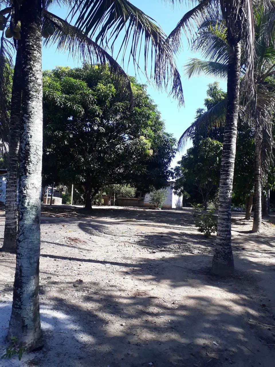 Vendo - Foto 5