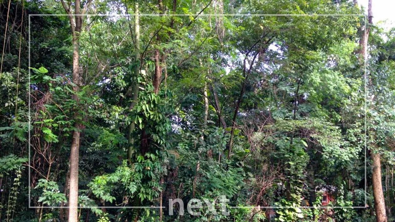 terreno - Parque Sao Quirino - Campinas - Foto 4