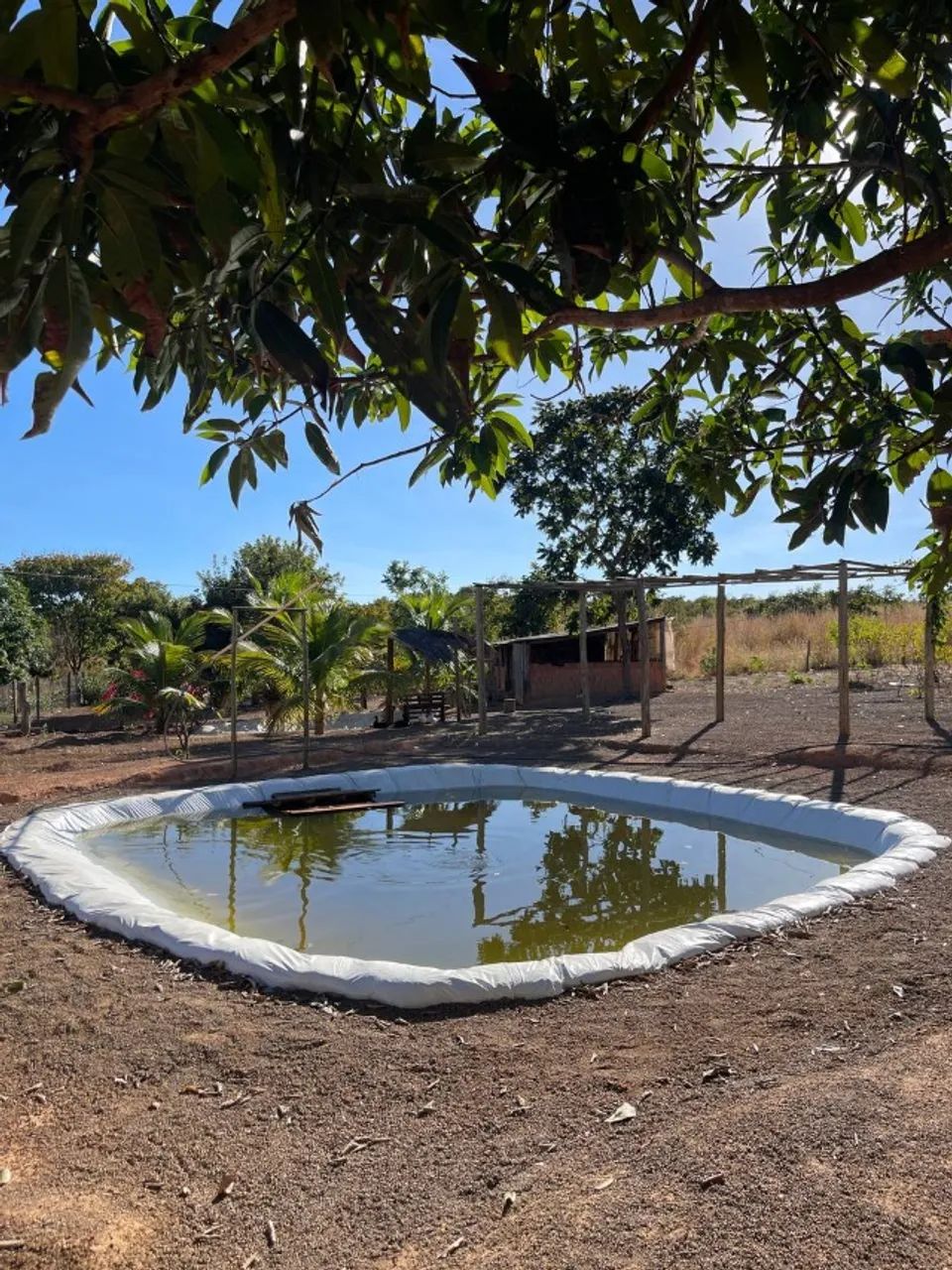 Sítio 30 Hectares Formado - Casa Ampla, Curral, Tanques de Peixe e Ótimo Acesso - Foto 11